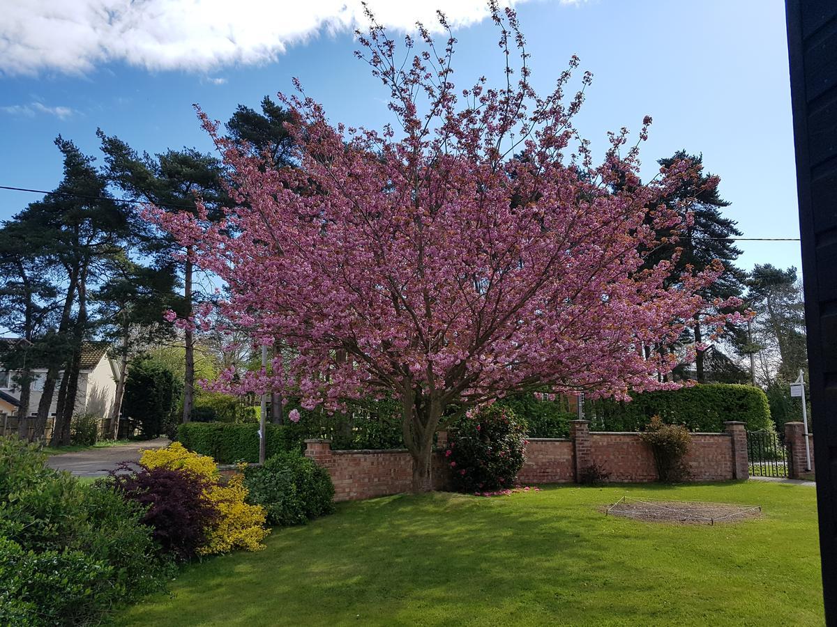 Leeward Bed & Breakfast South Walsham ภายนอก รูปภาพ